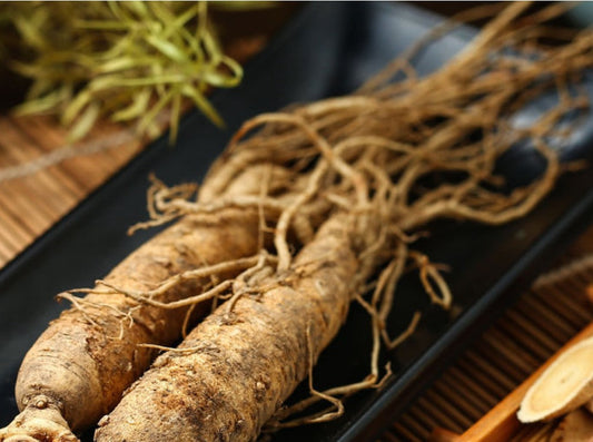 Benefits of Korean Red Ginseng